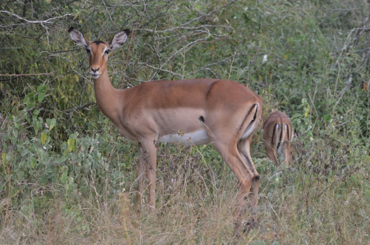 DSC_7154_01.jpg