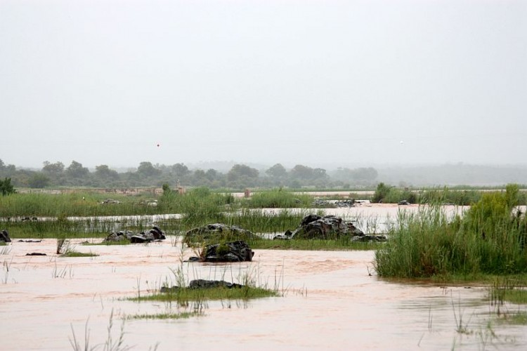 S-25.jpg