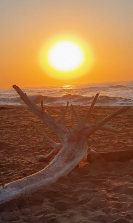 Sunrise 28 June.jpg