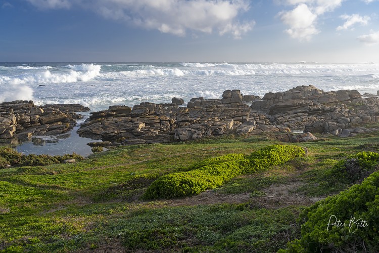 High Tide Schoenmakerskop.jpg