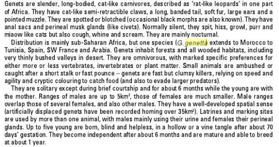 Genets.jpg