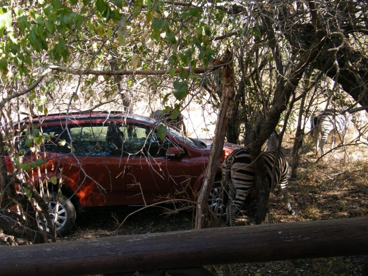 q7.jpg