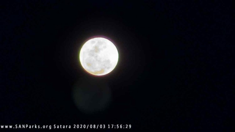 AD54BD9D-4968-464C-9FC6-53561018D2B6.jpeg
