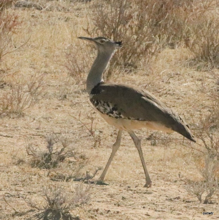 IMG_3150.JPG