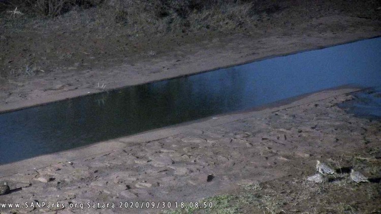satara.jpg