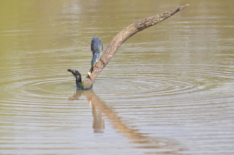 DSC_7253_01.jpg