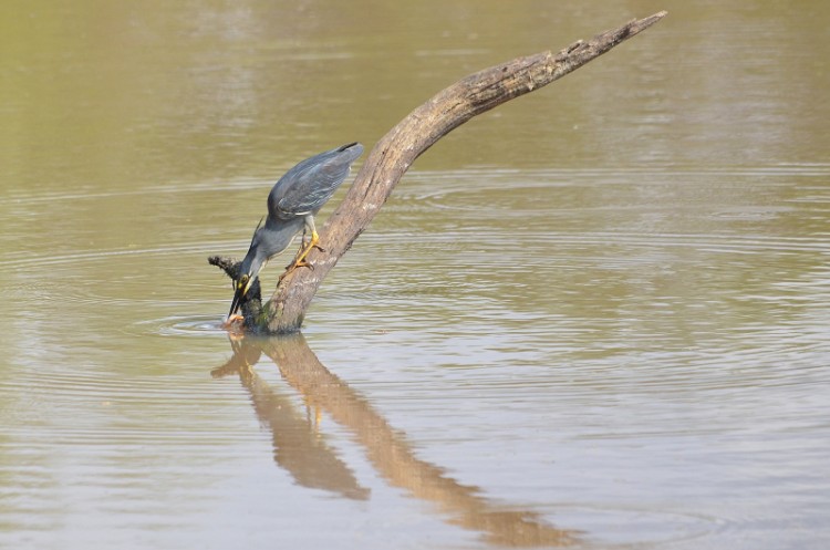 DSC_7269_01.jpg
