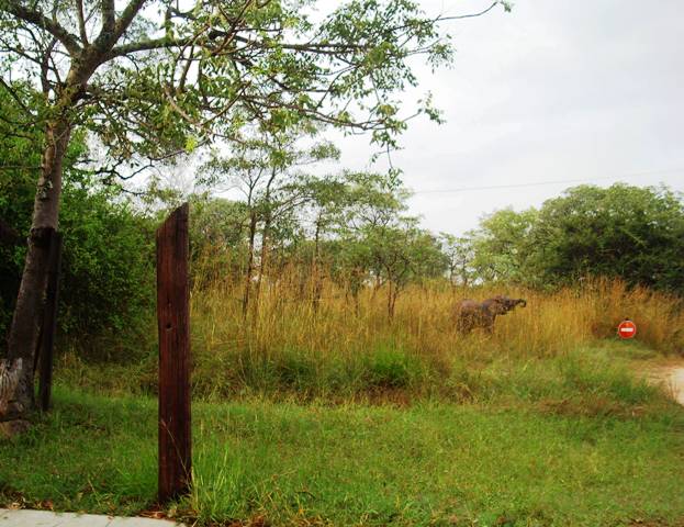 DSCI1214.jpg