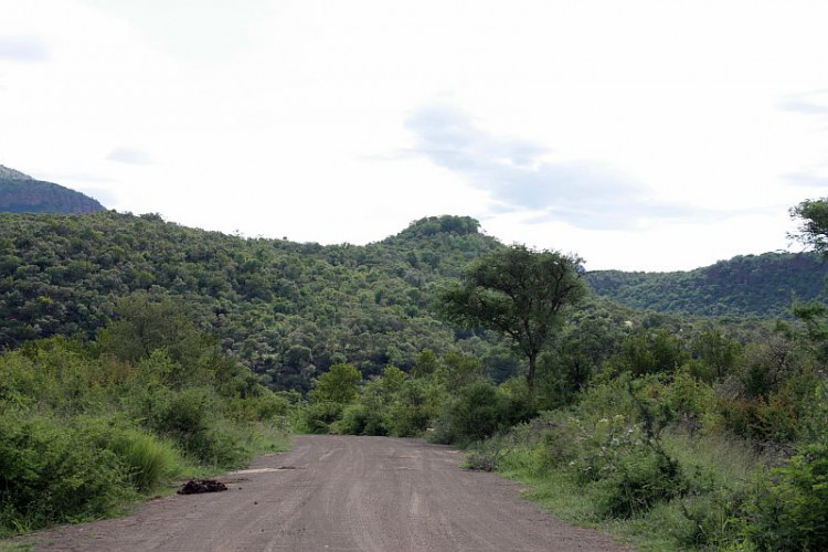 M7.jpg