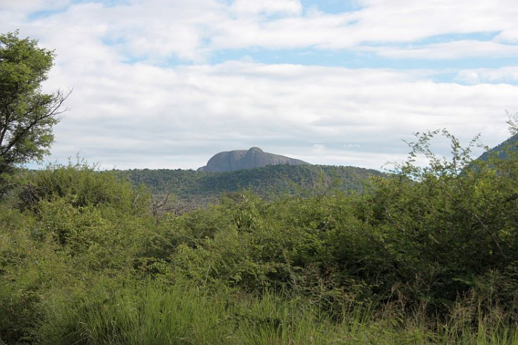 M9.jpg