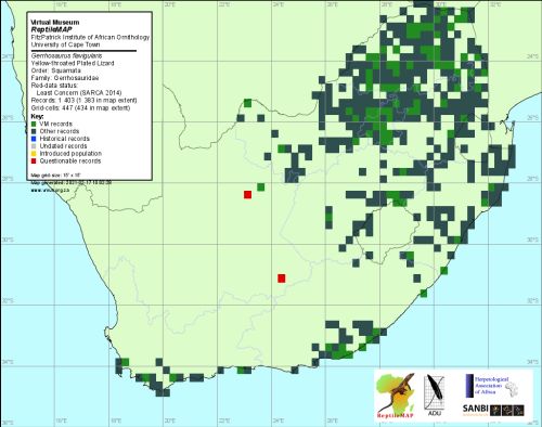 Gerrhosaurus flavigularis distribution.jpg