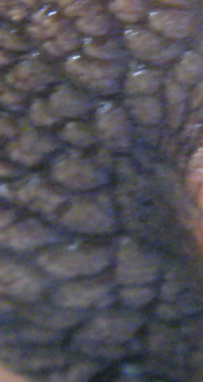 w.jpg