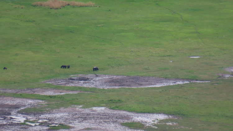 Serengeti 066.JPG