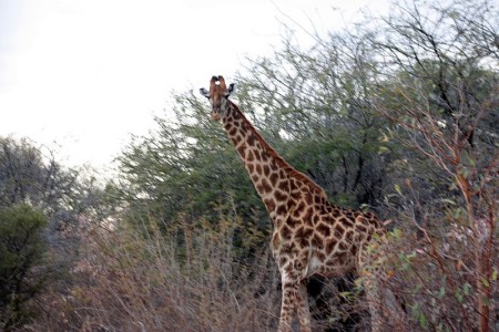 IMG_1872.jpg