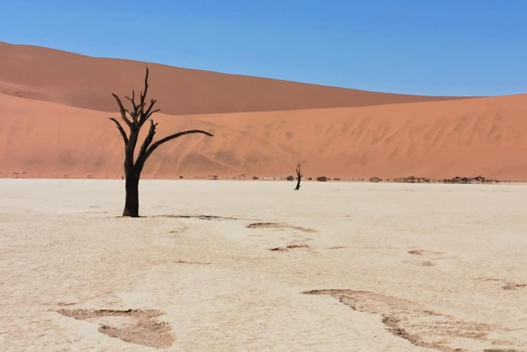 Deadvlei.jpg