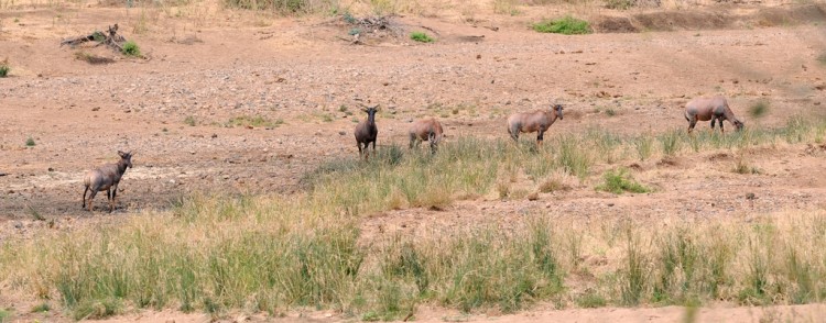 DSC_5661.jpg