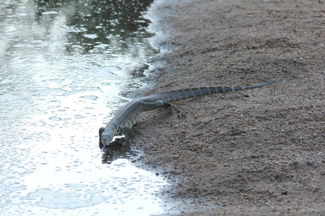 IMG_7111.JPG