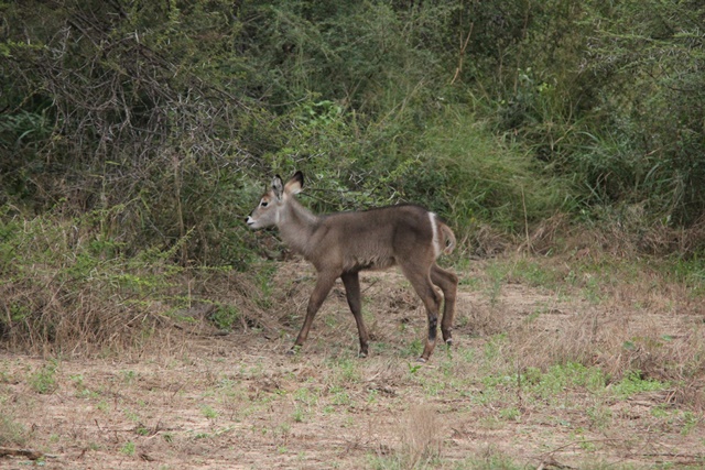IMG_7205.JPG