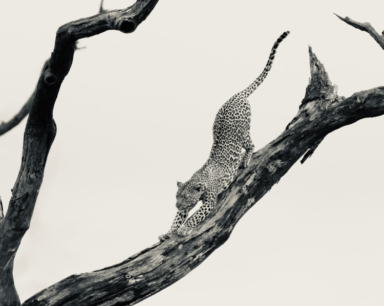 79D7AB81-D8FF-4A55-9FC2-34DDC658B922_1_105_c.jpeg