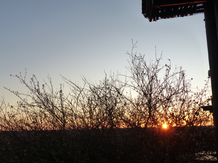 P1840069.JPG