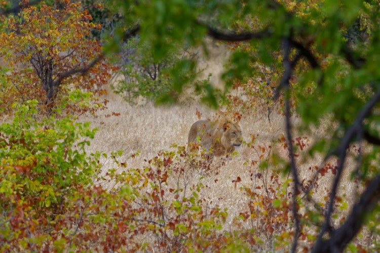 DSC_5450_DxO.jpg