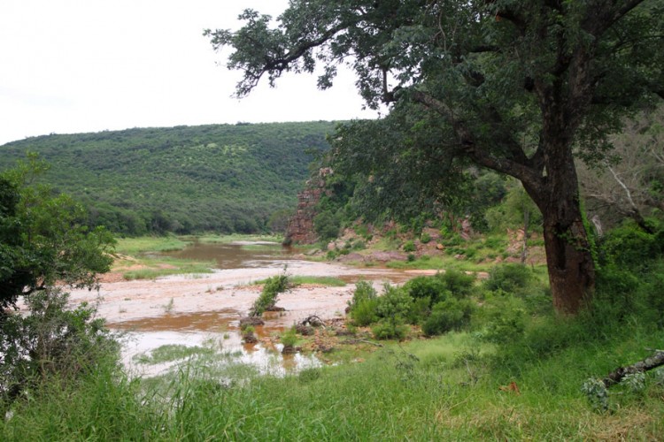 Luvuvhu River right in front of the camp