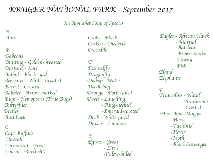 Index.jpg