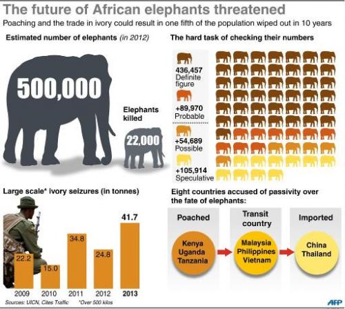 elephant poaching graph