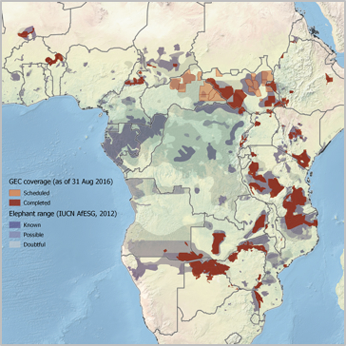 Opinion: Loss of wilderness is Africa’s primary cause of wildlife