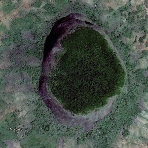 Expedition discovers untouched rainforest inside dormant African volcano -  Africa Wild